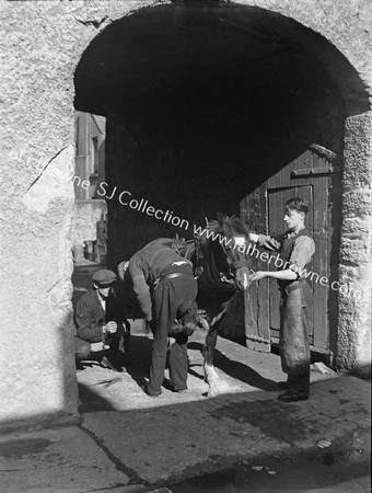 BLACKSMITH SHOEING HORSE